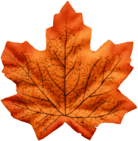 загрузка листок